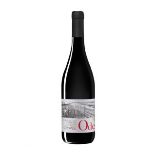 CantinArte - Ode Montepulciano d'Abruzzo NV (750ml) (750ml)