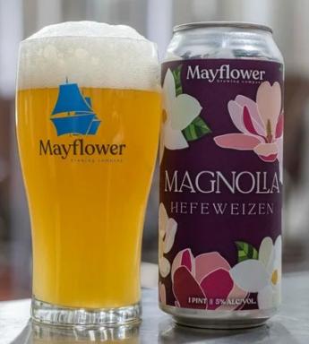 Mayflower Brewing Company - Magnolia (4 pack 16oz cans) (4 pack 16oz cans)